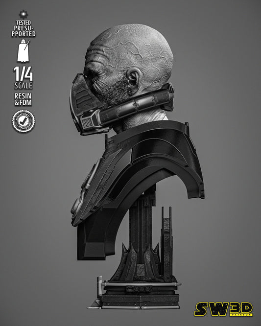 Darth Malgus Bust (Star Wars) Fan Art - 4th or 8th scale - 3D Printed