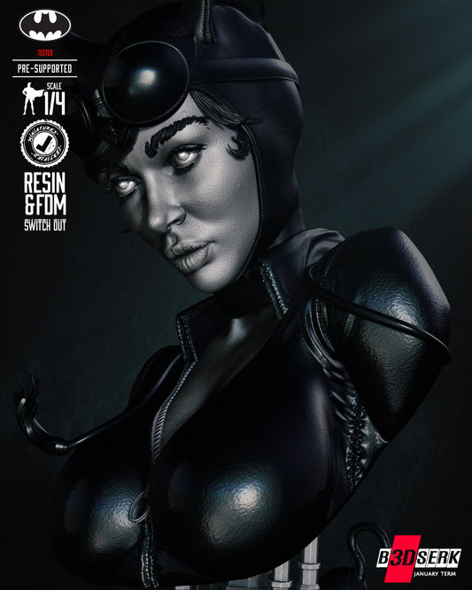 Catwoman Bust- 4th and 8th Scale model Kits, Choice of head 3D Print
