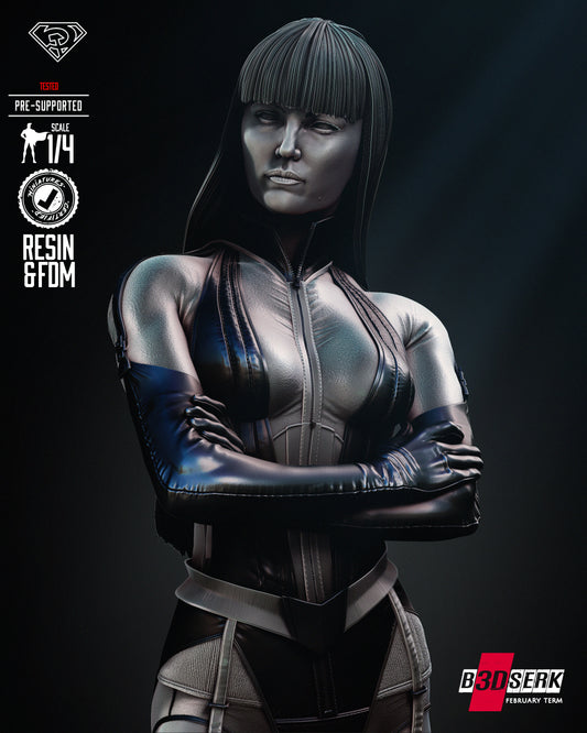 Silk Spectre Bust (Fan Art) - 4 or 8 scale - 3D Print kit