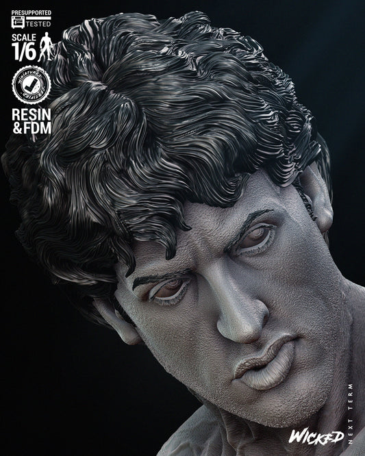 Rocky Balboa (Rocky) Sculpt - Fan Art - 6 or 12 scale - 3D Print kit