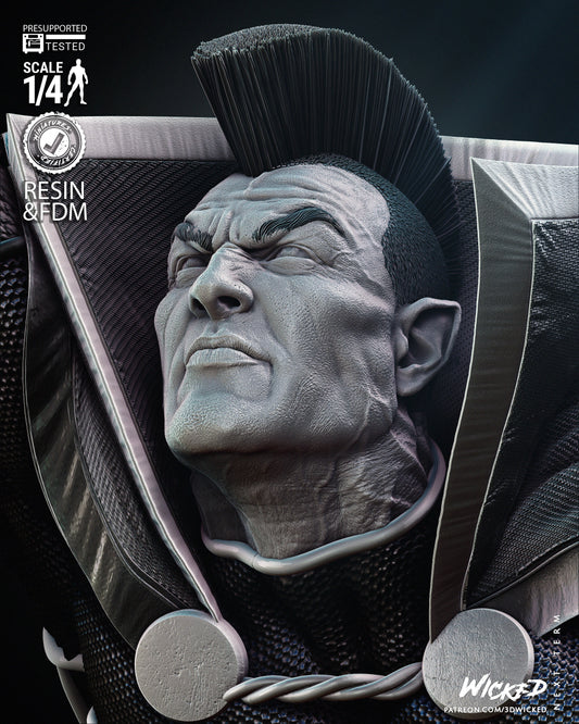 Gladiator(Fan Art) Bust - 4 or 8 scale (430mm or 215mm tall)- 3D Print kit