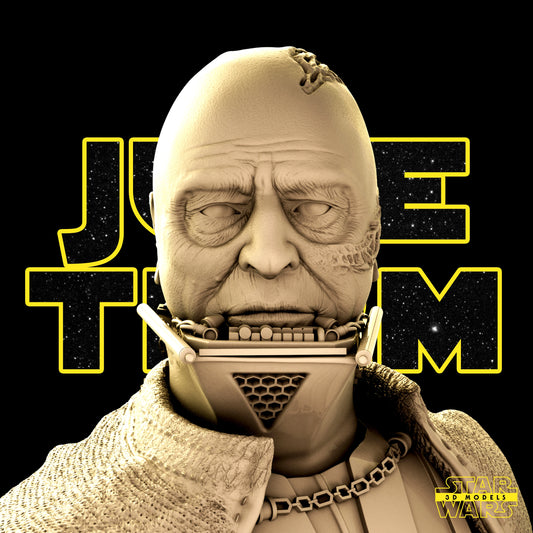 Darth Vader Bust (Fan Art) - 1:4 or 1:6 Scale (180mm or 108mm) - 3D Printed