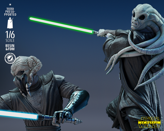 Kit Fisto & Pio Koon Diorama - 1/6 or 1/12 scale Star Wars Fan Art - 3D Printed
