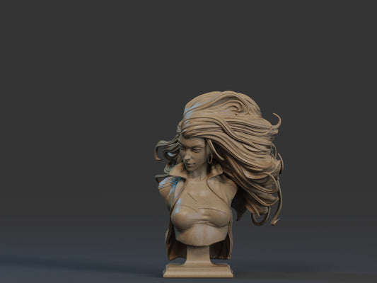 Storm (X-Men) Bust 3D Printed Bust 12th, 9th and 6 Scale.