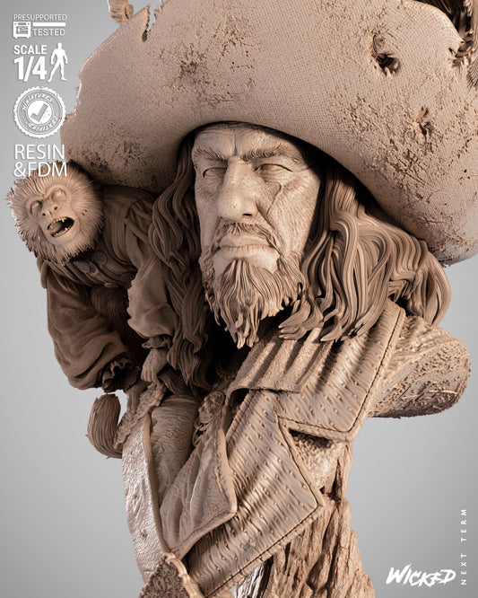Hector Barbossa (Pirates of Caribbean) - Bust - 3d Printed Model Kit