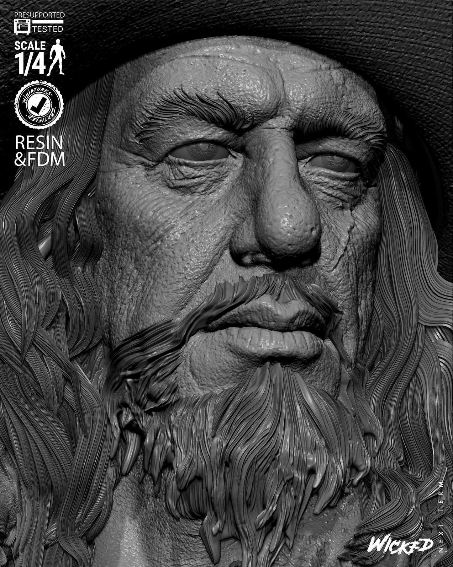Hector Barbossa (Pirates of Caribbean) - Bust - 3d Printed Model Kit