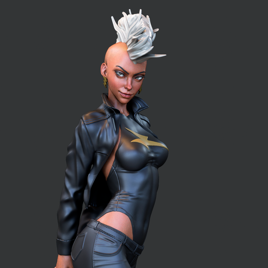 Storm (X-Men) Bust 3D Printed Statue 12 and 6 Scale. unpainted and unassembled