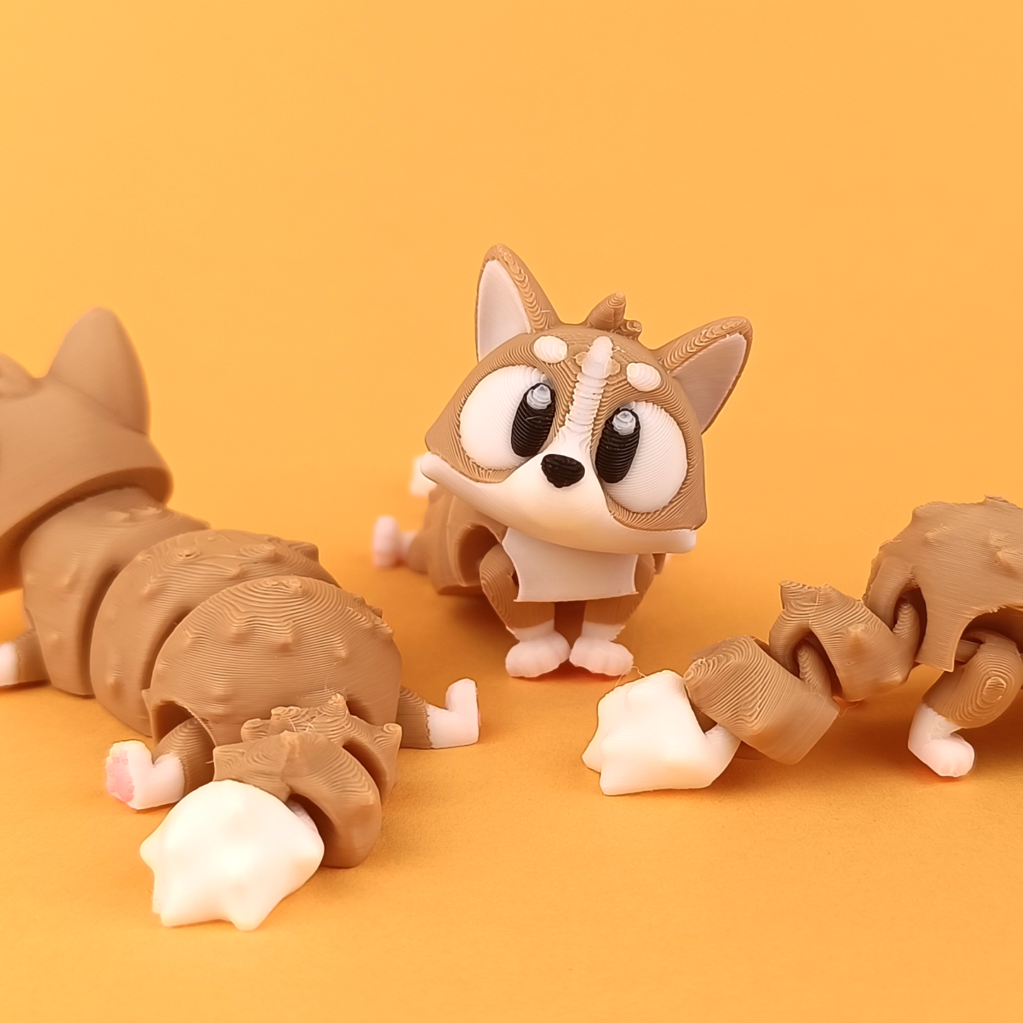 Flexi Corgi