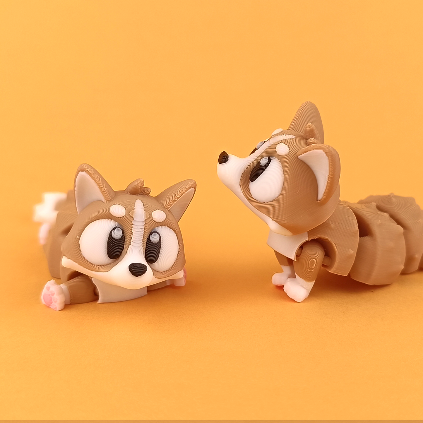 Flexi Corgi