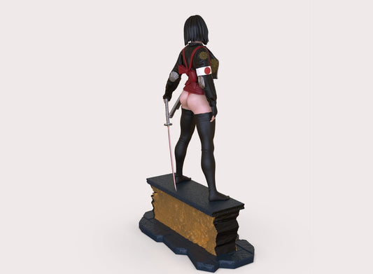 Katana (DC) 3D Print model - Fan Art - 180mm SFW/NSFW
