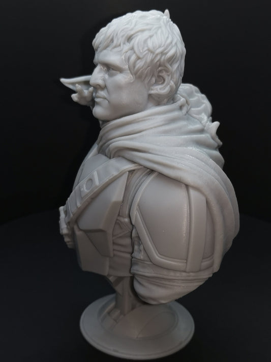 Din Djarin & Grogu Bust - Fan Art - Resin 3D Printed - 4" to 7" (102mm - 177mm)