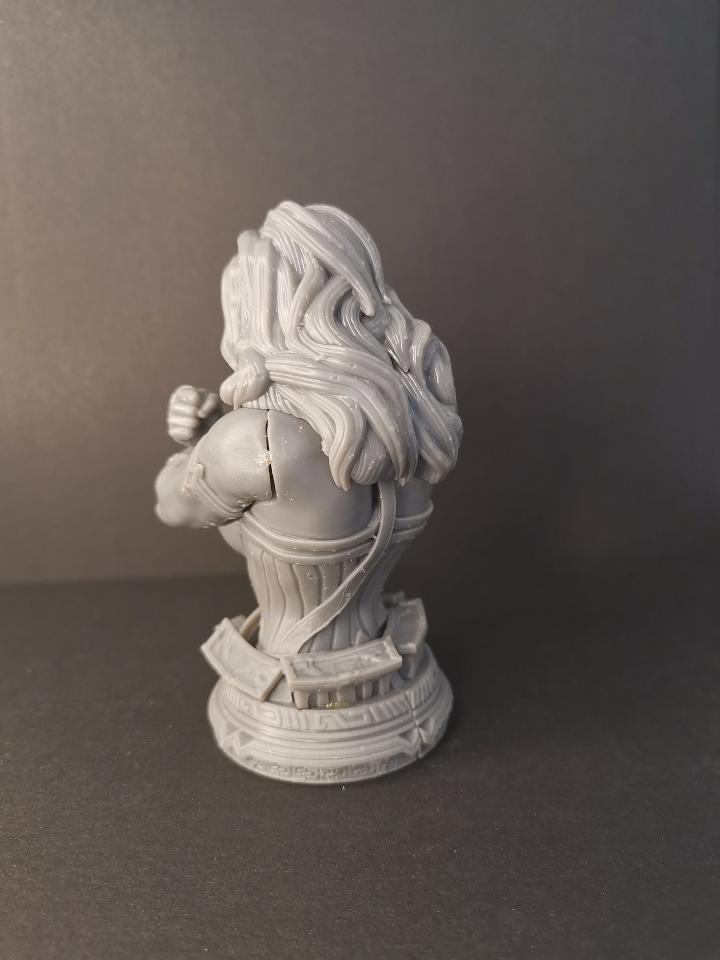 Wonder Woman Fan Art 3D Printed Bust - 100mm to 210mm - Resin 3D Printed