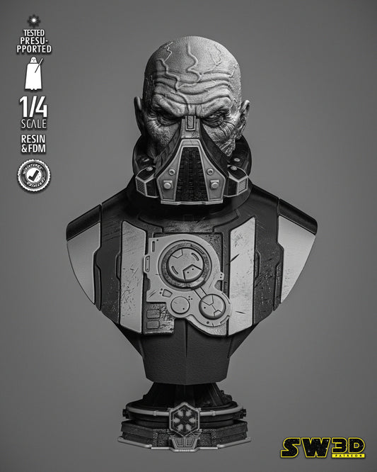 Darth Malgus Bust (Star Wars) Fan Art - 4th or 8th scale - 3D Printed