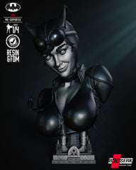 Catwoman Bust- 4th and 8th Scale model Kits,  Choice of head 3D Print