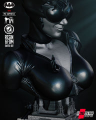 Catwoman Bust- 4th and 8th Scale model Kits,  Choice of head 3D Print