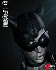 Catwoman Bust- 4th and 8th Scale model Kits,  Choice of head 3D Print