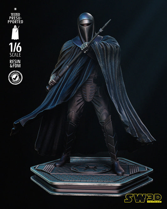 Emperor Royal Guard (Star Wars) Fan Art - 6th or 12th scale - 3D Printed