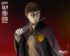 Harry Potter Sculpture - 1/6 scale 330mm Fan Art