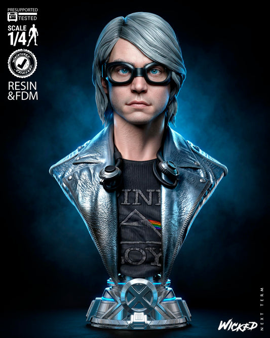 Quicksilver (Peter Maximoff) Bust -3d Printed Model Kit - Fan Art