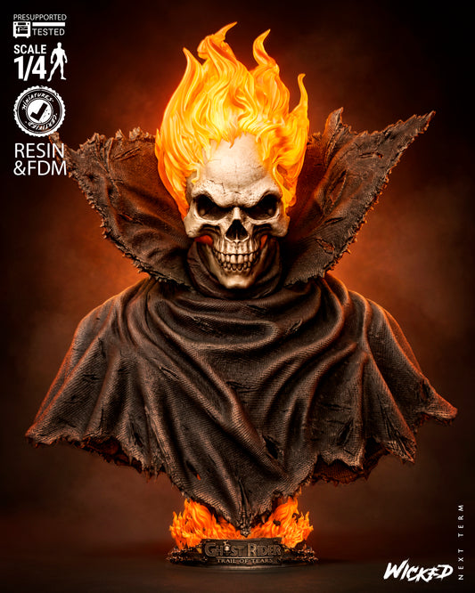 Caleb Portrait Bust - 3D Printed Model - 4 & 8 Scale  - Ghost Rider