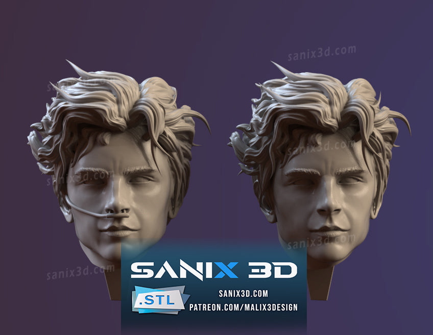 Paul Atreides (Dune) Fan Art - 1:8 Scale (3D Print Fan Art)