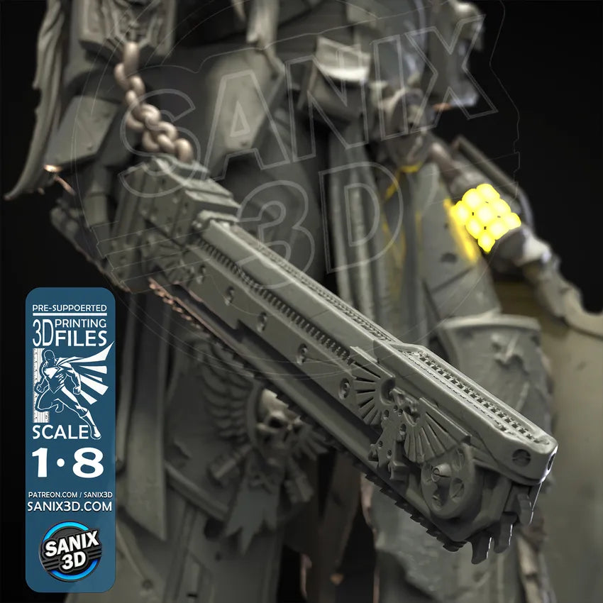 Star Knight (WARMACHINE) - 3D Printed) Fan Art