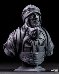 Stilgar (Dune) Bust - 99mm to 199mm 3D Print (Fan Art)