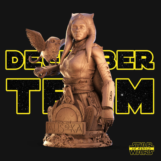 Ahsoka Bust (Fan Art) - Scales 1:4 or 1:8 (200mm or 100mm) - 3D Printed