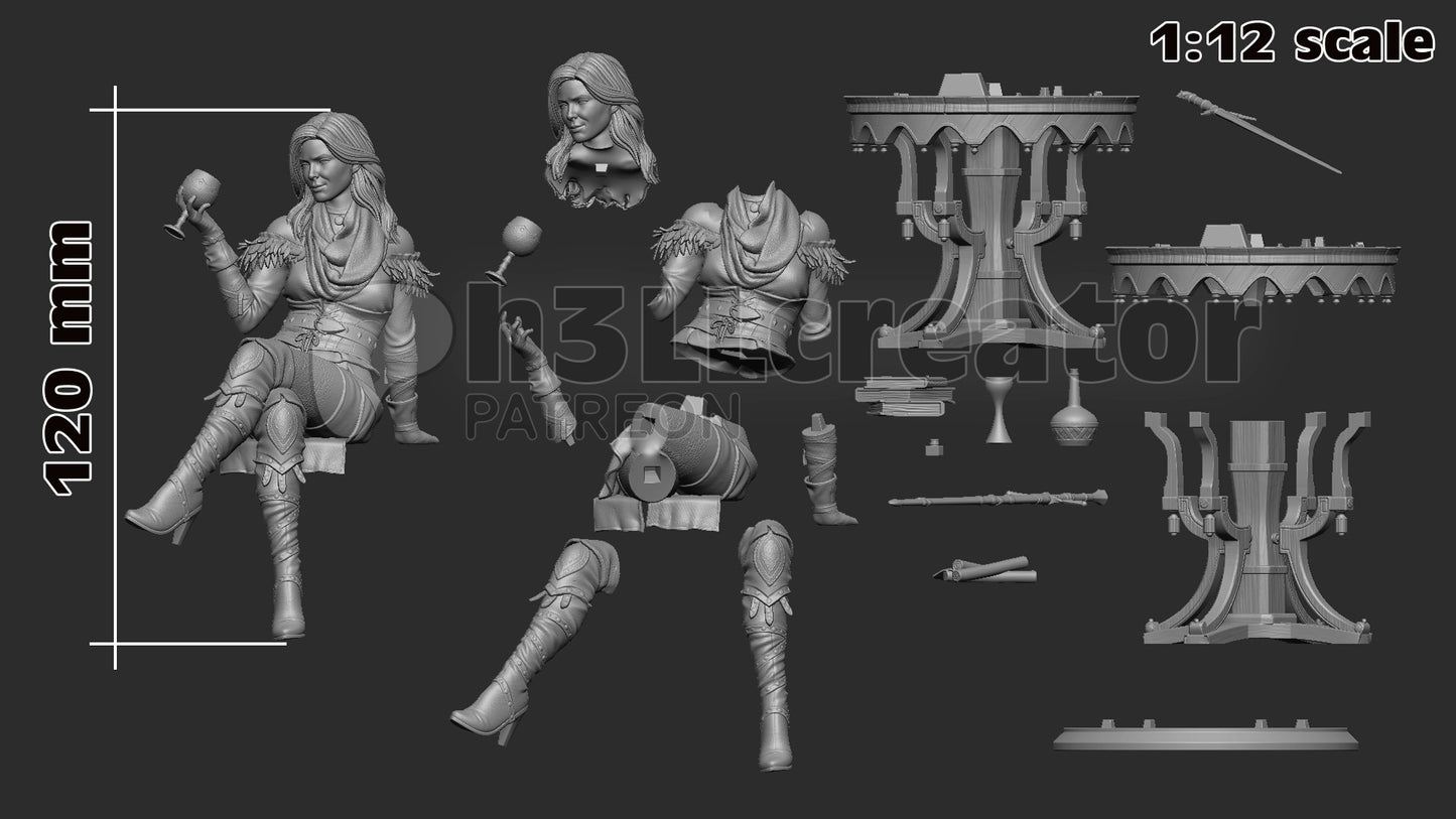 Yennifer (Witcher 3) 3d Printed Model Kit - 1:12
