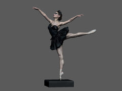 Black Swan Statue 3D Print Model Kit Unpainted and Unassembled 240mm