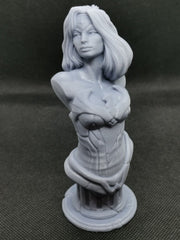 Wonder Woman Bust (fan art) Resin Printed DC Comics - 5" (125mm) - High Quality